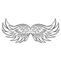 angel wings