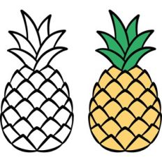 pineapple