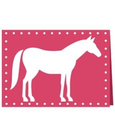 horse aperture card