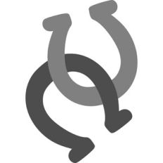 horseshoes