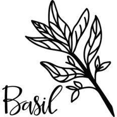 Basil - Kitchen Design
