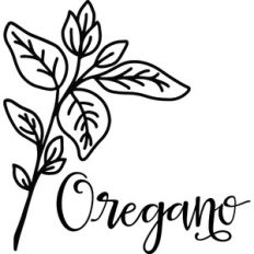 Oregano - Kitchen Design