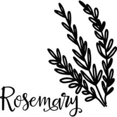 Rosemary - Kitchen Design