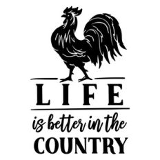 Life is Better in the Country
