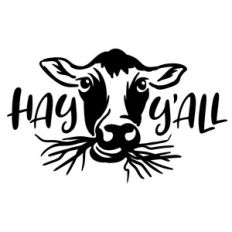 Hay Y'all