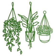 hanging plants