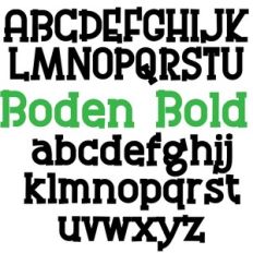 ZP Boden Bold