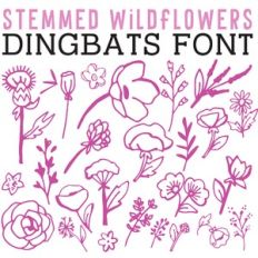 CG Stemmed Wildflowers Dingbats