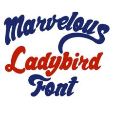Marvelous Ladybird