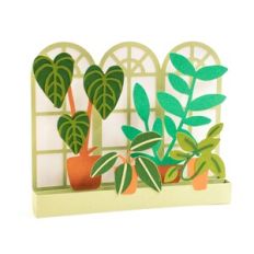 Window Pane with Plants Box Card