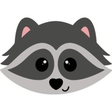 Cute Raccoon