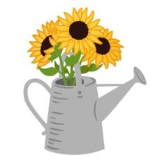 Sunflowers in Watering can