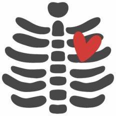 Skeleton Lung Heart
