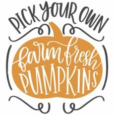 Pick Your Own Pumpkins