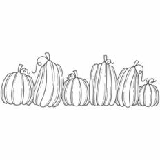 Pumpkin Line Border
