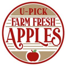 Apple Circle Label