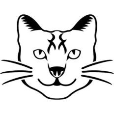 cat face