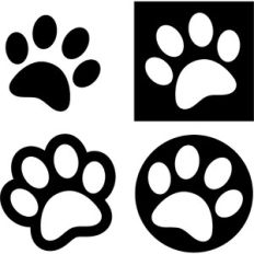 paws
