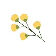 Farm Flowers