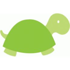 timmy the turtle
