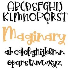 PN Maginary