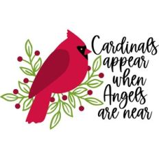 cardinals appear when angels are near