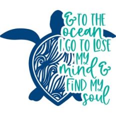 and to the ocean I go to lose my mind and find my soul