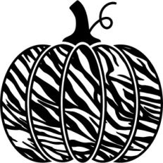zebra print pumpkin