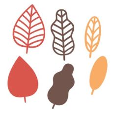 Fall leaves