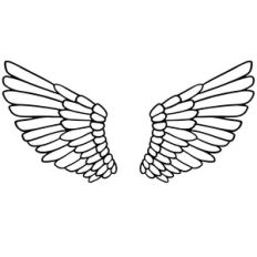 Angel wings