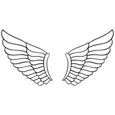 Angel wings