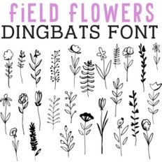 CG Field Flowers Dingbats