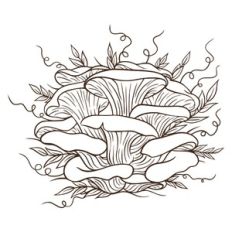 Silhouette Mushrooms