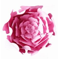 '3d' flower