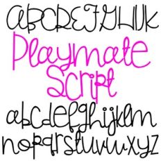 PN Playmate Script