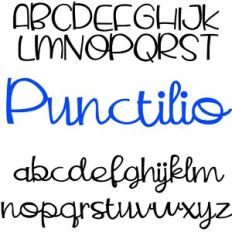 PN Punctilio