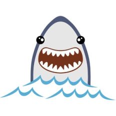 shark attack