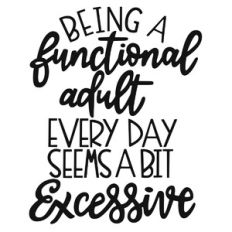 Being a Functional Adult