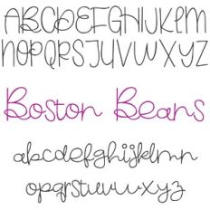 PN Boston Beans Lite