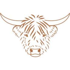 Highland Cow
