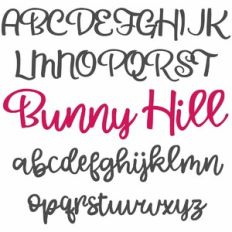 PN Bunny Hill