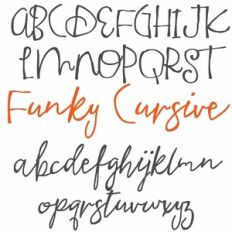 PN Funky Cursive