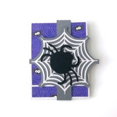 Spiderweb Matchbook