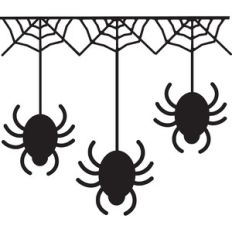 Spiderweb and Hanging Spider Trio Border