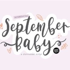 DTC September Baby Brush Script Font