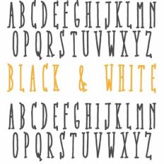 ZP Black and White