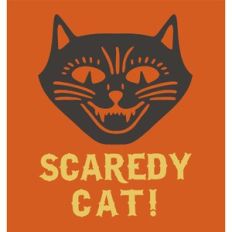 Scaredy Cat