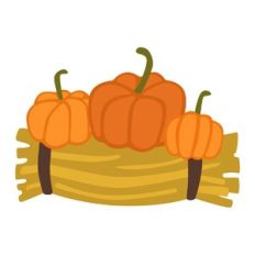 Pumpkins on Hay Bale