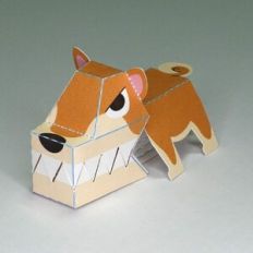 Biting Shiba Inu