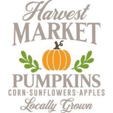 harvest market pumpkins
